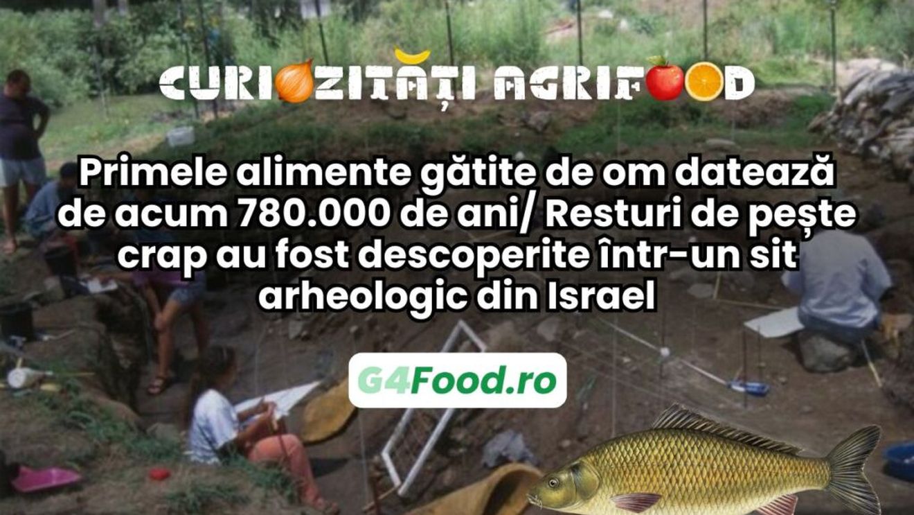 Curiozități agrifood - 21 mai | Primele alimente gătite de om datează de acum 780.000 de ani/ Resturi de pește crap au fost descoperite într-un sit arheologic din Israel