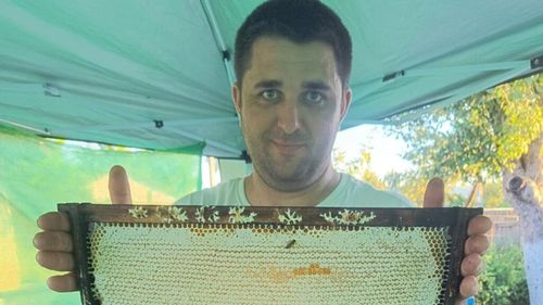 De la fructe de pădure la apicultură / Povestea tânărului inginer care a inventat un cântar inteligent pentru stupi