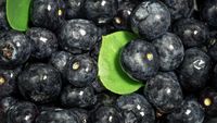 Sucul de aronia, fructul numit și „aur negru”, are efecte asupra glicemiei și tensiunii / Un nou studiu arată și un posibil rol important în echilibrul microbiomului intestinal