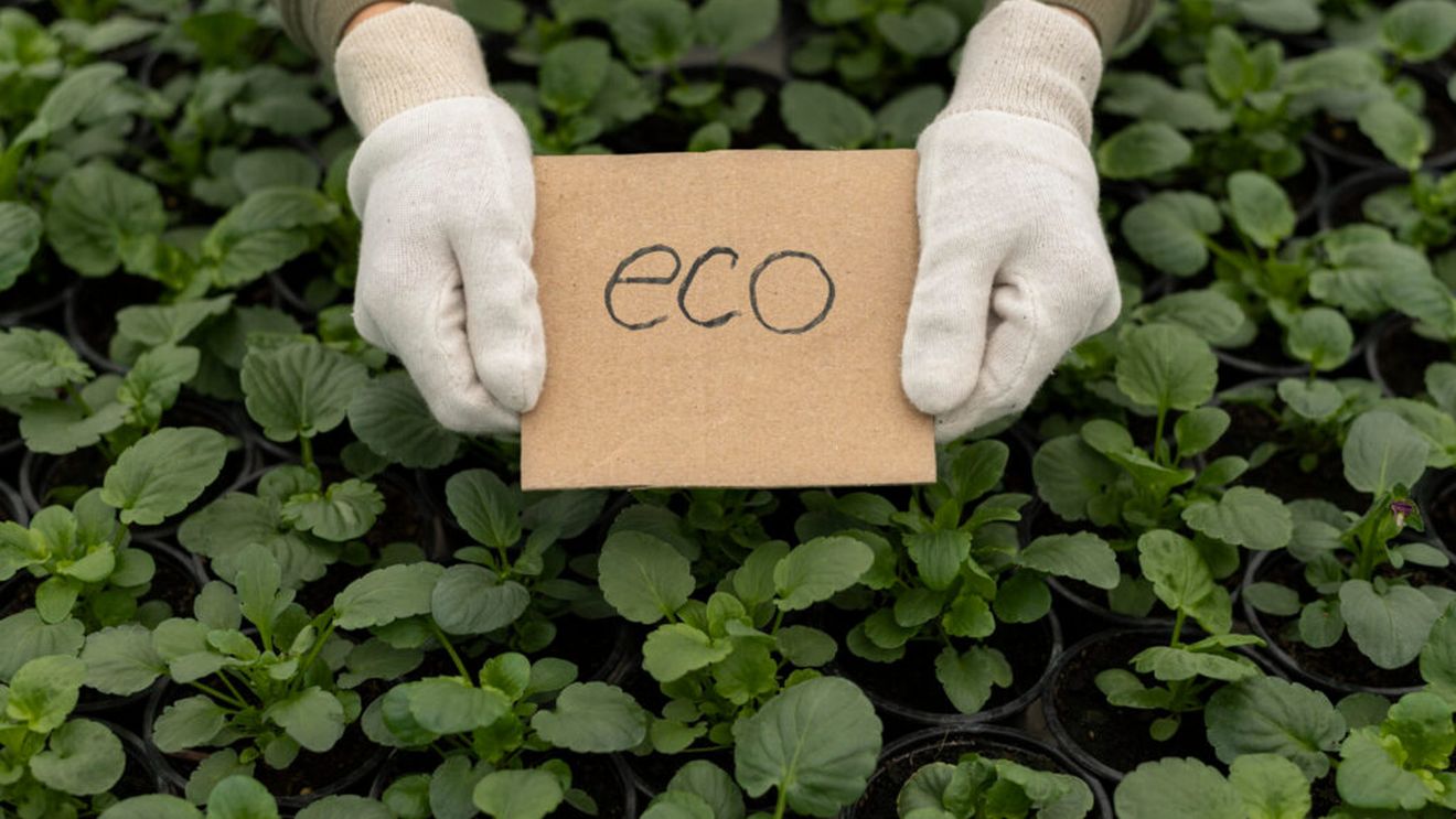 Agricultura ecologică din Tulcea, aproape de nivelul impus de normele europene / Judeţul va atinge mai devreme de 2030 obiectivul impus de Planul de acţiune al UE pentru agricultura ecologică