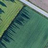 Departamentul pentru Agricultură al SUA testează sateliți și inteligența artificială pentru estimarea recoltelor / Inițiativa vine după ce fermierii au pus sub semnul întrebării acuratețea datelor oficiale