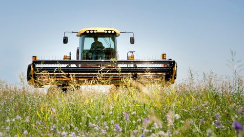 Cererea pentru soiurile de lucernă de la Fundulea depășește producția de sămânță, spun cercetătorii