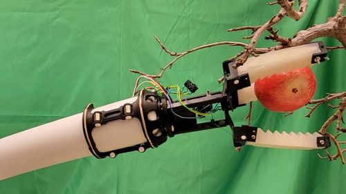 O universitate a dezvoltat un dispozitiv de prindere robotizat, ieftin, pentru recoltarea automată a merelor / SUA se confruntă cu o criză gravă de lucrători în livezi