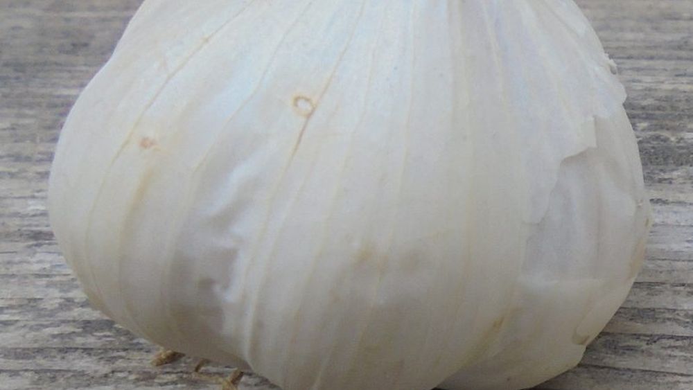 Cum a umflat Ministerul Agriculturii costurile fermierilor pentru cultivarea unui hectar de usturoi, ca să salte ajutorul de stat la 3000 de euro/ha, în plină campanie electorală