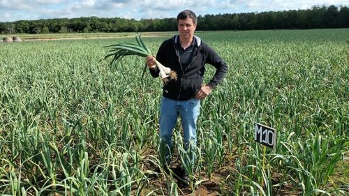 Un român a ajuns cel mai important producător de usturoi din Germania/Ciprian Panțîru a început ca muncitor agricol