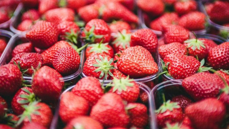Analiză/Piața globală a căpșunelor în 2026/ Fructele spaniole se vând cu 2,50–2,80 euro/kg, iar cele italiene ajung la 3,00–6,00 euro/kg/ Germania, UK și Franța, dependente de importuri!
