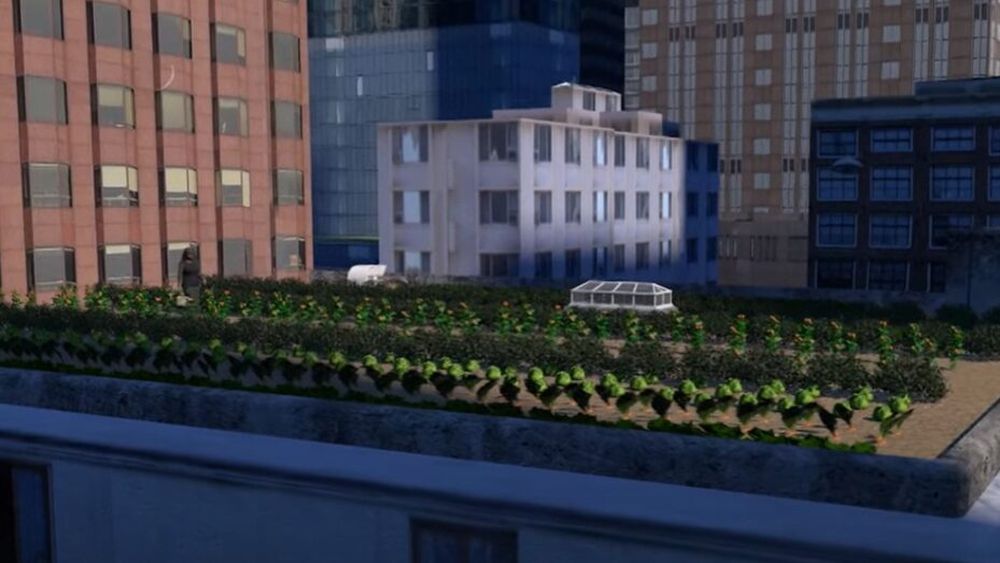 ANIMAȚIE GRAFICĂ | Cum arată agricultura urbană / Deși poate părea o tendință recentă, istoria agriculturii urbane este veche. În Mesopotamia antică, locuitorii orașelor alocau terenuri pentru cultivare, iar în timpul celui de-Al Doilea Război Mondial, „Victory Gardens” erau un element comun în peisajele urbane