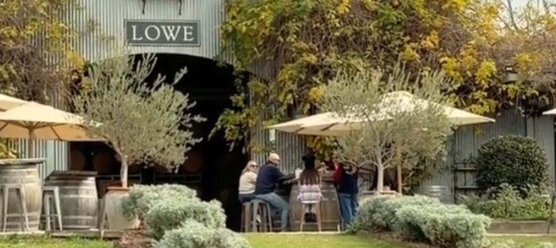 O cramă și-a transformat via într-o pădure comestibilă. Tot ce cultivă ajunge în meniul restaurantului / Cum funcționează conceptul farm-to-table