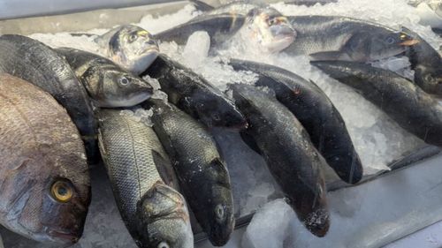 Vicepreşedintele Patronatului Peştelui din România: Subvenţia de 100 de euro pe hectar este infimă