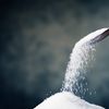 Europa se pregătește pentru cea mai mică producție de zahăr din ultimii nouă ani / Ce se întâmplă cu România și de ce prețurile ar putea crește
