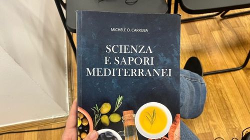 Dieta mediteraneeană, secretul unei vieți echilibrate / Prof. Carruba: „Obezitatea trebuie văzută ca o boală cronică” / „Instituțiile trebuie să-i învețe pe oameni să mănânce sănătos. Nu e de-ajuns să punem pe ambalaj niște informații”