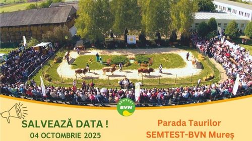 Parada Taurilor în arena de la Sângeorgiu de Mureş: Peste 20 de tauri de valoare internaţională, între care şi numărul şase european, vor defila în fața publicului