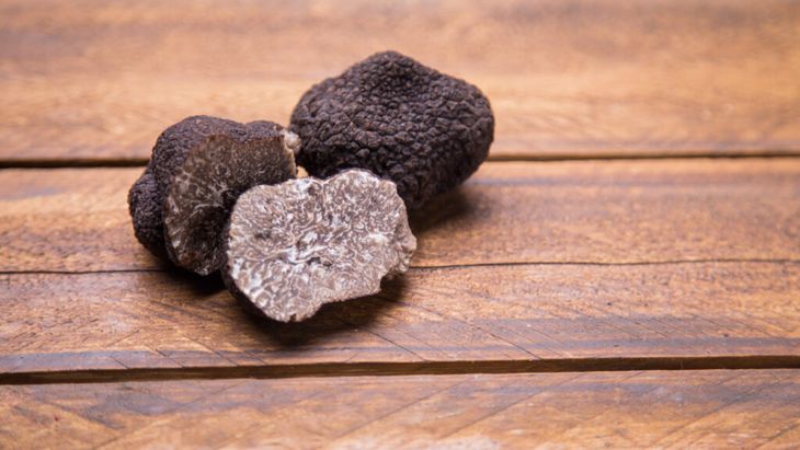 VIDEO | Despre trufe – nu sunt un aliment, ci un condiment/ Tereza (producător de trufe): Nu sunt atât de scumpe cum ne imaginăm