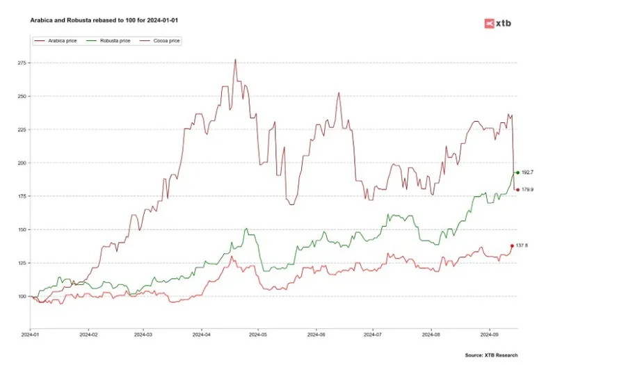 Evoluția prețurilor la cacao, Robusta și Arabica de la începutul anului 2024. Sursă: Bloomberg Finance LP, XTB