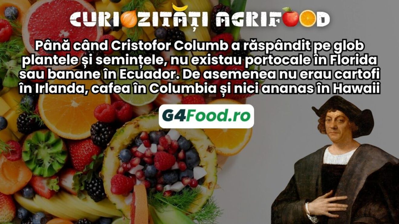 Curiozitate agrifood - 14 noiembrie: Până când Cristofor Columb a răspândit pe glob plantele și semințele, nu existau portocale în Florida sau banane în Ecuador. De asemenea, nu erau cartofi în Irlanda, cafea în Columbia și nici ananas în Hawaii