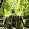 O pădure din Portugalia a primit statutul de „pădure terapeutică”: Bussaco ascunde 250 de specii de arbori și arbuști / Ce se întâmplă într-un astfel de loc și cum diferă terapia de „baia de pădure”