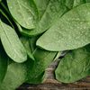 Cum prepari un pesto de leurdă: preparatul de post este excelent pentru o zi de primăvară / Se pregătește rapid, din numai câteva ingrediente