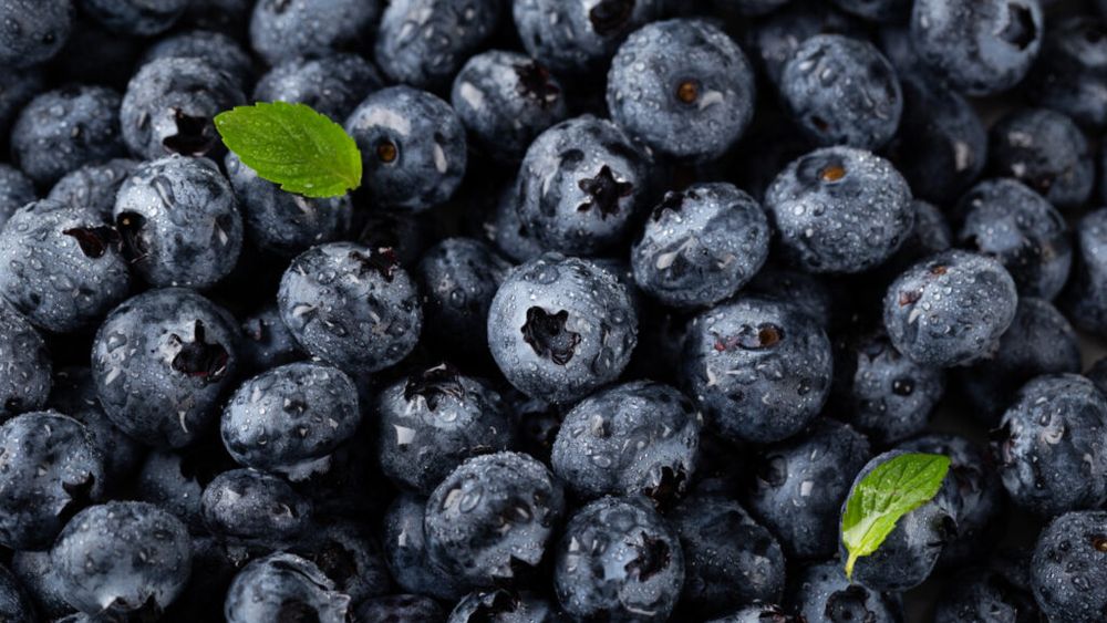 Industria afinelor, în expansiune globală / Politicile comerciale și presiunile de mediu vor testa adaptabilitatea sectorului / Organizația Internațională a Afinelor estimează o creștere susținută a pieței mondiale