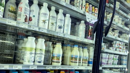 Kefirul sau iaurtul/Care este diferența dintre ele și cum să-l alegi pe cel care ți se potrivește cel mai bine/Istoria celor două produse