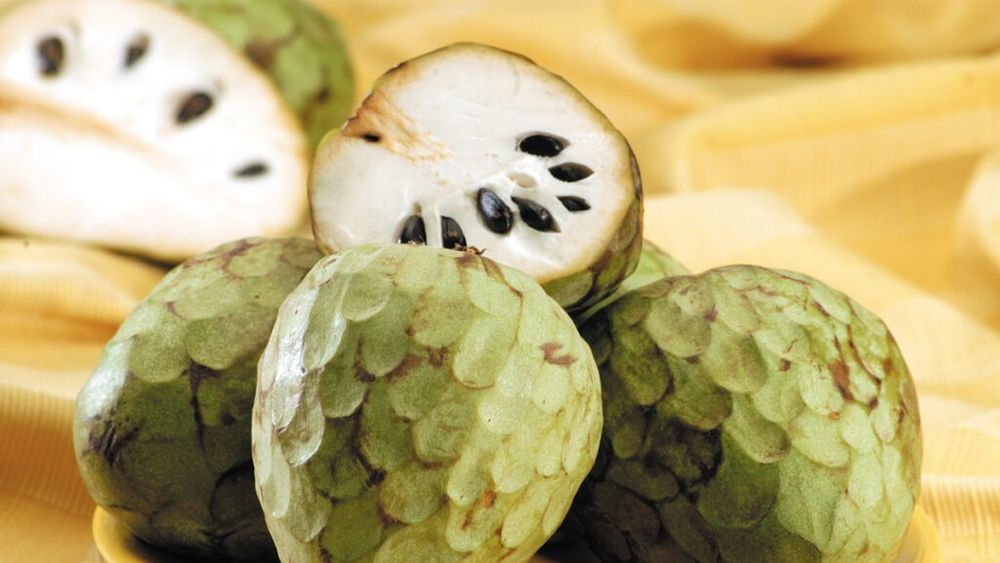 Annone, cherimoya sau custard apple. Sunt toate numele unui fruct exotic din Anzi, aclimatizat de mai bine de un secol în zona de sud a Italiei