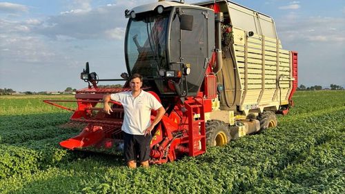 „Regele busuiocului” trăiește în Italia și are 28 de ani / Filippo Carrara a recoltat anul acesta 3.000 de tone de frunze