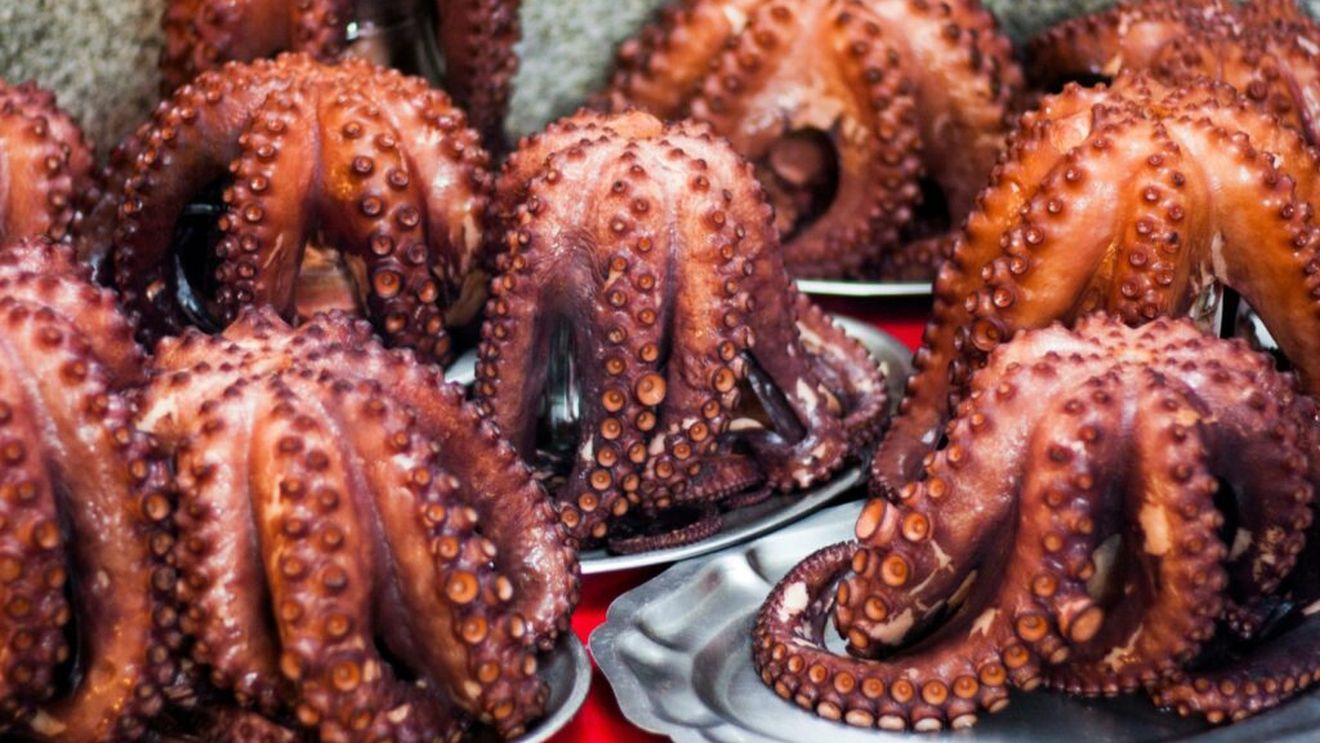 Cum se fierbe caracatița. Pare complicat, dar e la îndemâna oricui