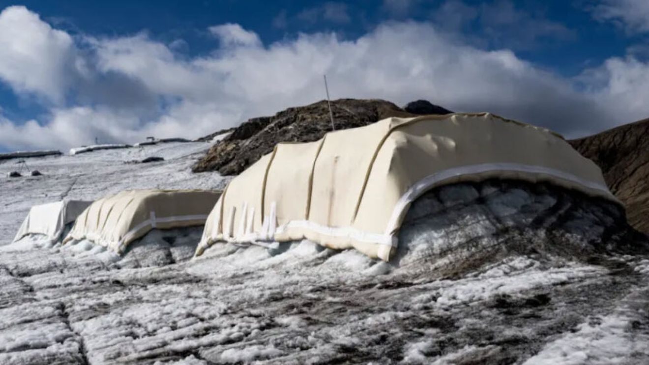 Lâna de oaie, arma ecologică a Elveției împotriva topirii ghețarilor. Experiment de succes în Alpi