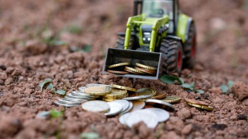 ANALIZĂ Subvențiile agricole: fermierii au cerut, statul urmează să dea / Plățile directe: un ”cașcaval” de 2 miliarde de euro feliat pentru 700.000 de beneficiari