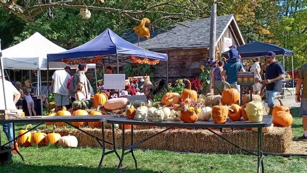 Canada, un Halloween fără strălucire / Seceta și valurile de căldură din 2025 au redus drastic producția de dovleci / 70% din terenurile agricole, lipsă acută de apă!