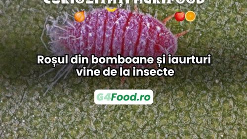 Curiozitate agri-food: Roșul din bomboane și iaurturi vine de la insecte / Ce este, de fapt, colorantul carmin