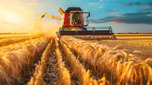 INS: Numărul exploataţiilor agricole a scăzut cu 1%, în 2023, la 2,859 milioane, faţă de 2020. Acestea au utilizat 12,55 milioane hectare teren agricol