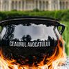 Avocații lasă roba și pun mâna pe ceaun: „Pledoarie pentru gust | Ceaunul avocatului”. UNBR organizează prima competiție gastronomică națională a avocaților