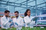 Forumul APPR salută decizia PE de aprobare a utilizării NGT. „Un nou pas pentru creșterea competitivității agriculturii europene”