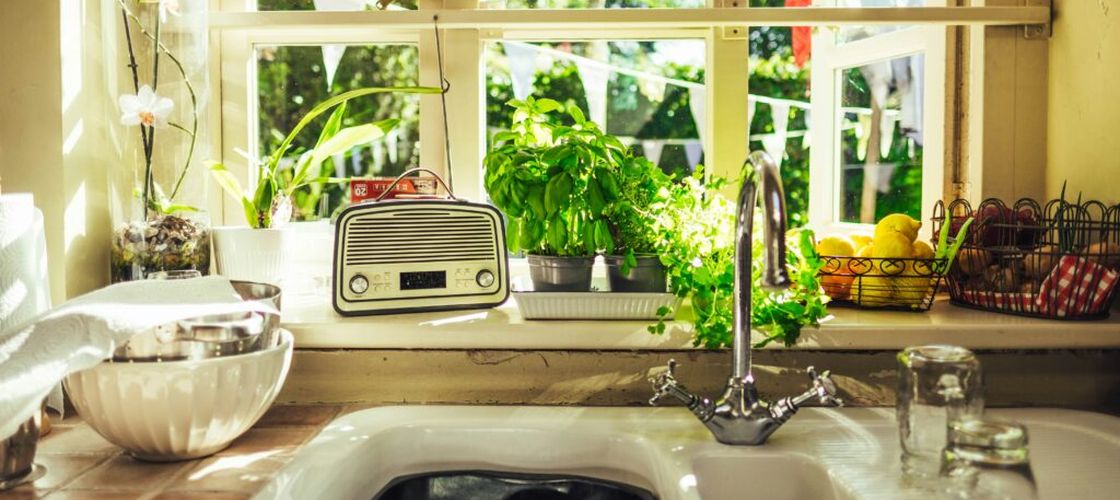 9 plante aromatice pe care le poți crește în casă tot anul. De la busuioc și mentă la salvie, ce ai nevoie pentru propria grădină de pe pervaz