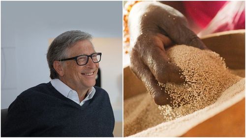 Bill Gates: Această „cereală pierdută” din Africa este un „aliment al viitorului” datorită celor 5 calități speciale pe care le are / Ce beneficii pentru sănătate aduce fonio