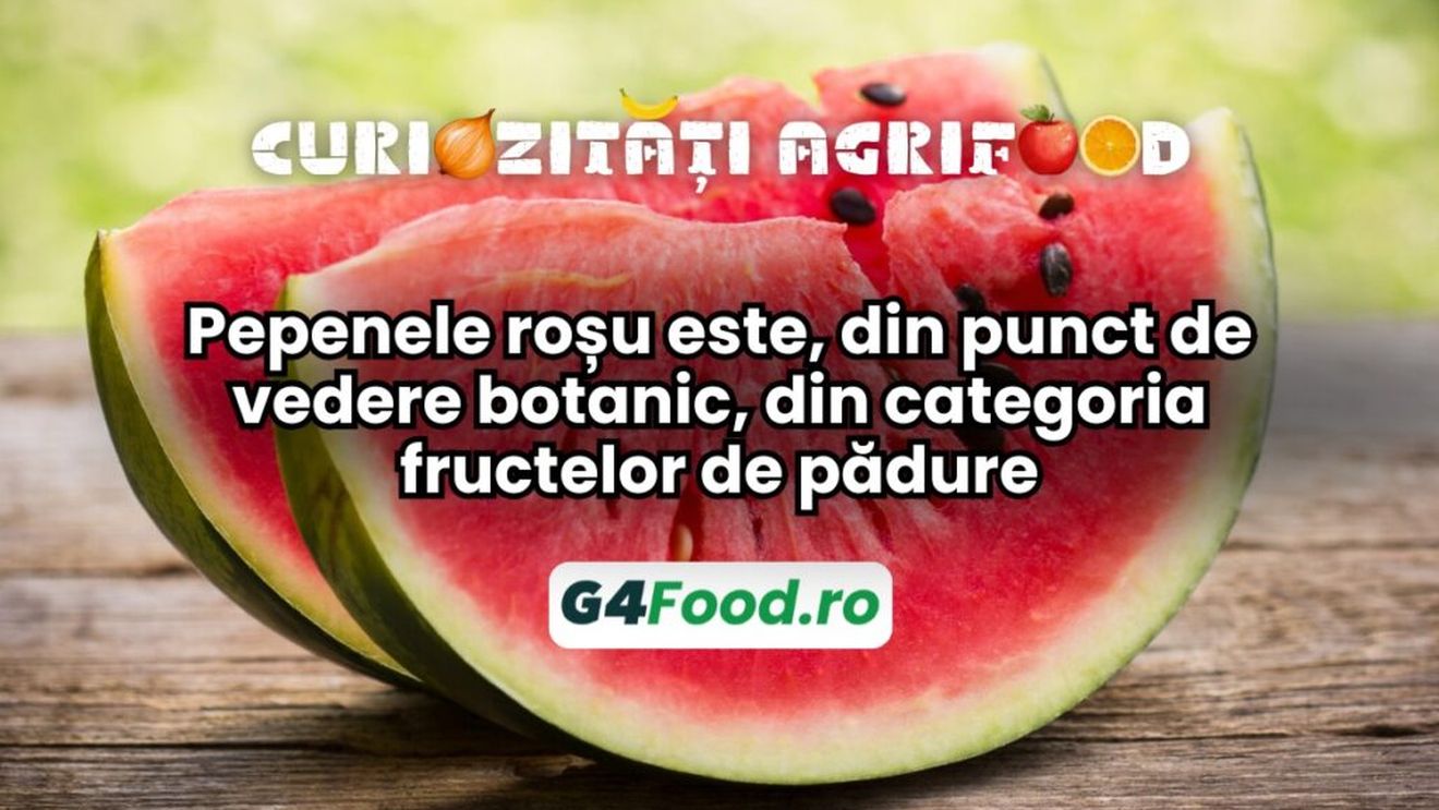 Pepenele roșu este, din punct de vedere botanic, din categoria fructelor de pădure