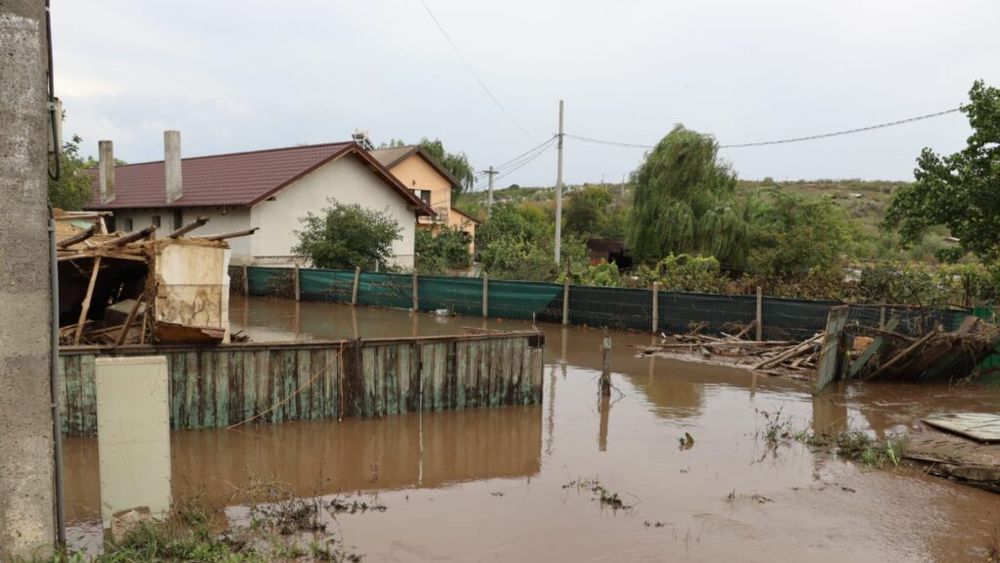 Peste 2.200 de animale şi 6.200 de păsări au murit în urma inundaţiilor în judeţele Vaslui şi Galaţi