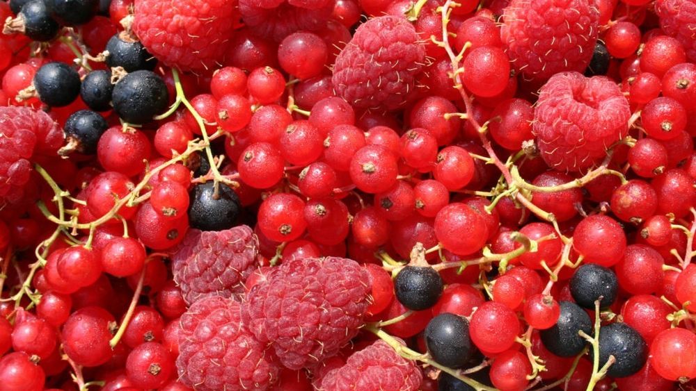 Șase fructe dintre cele mai comune, care conțin de trei ori mai mulți antioxidanți decât ceaiul verde