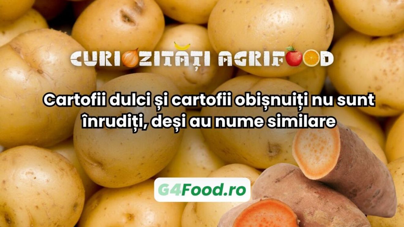 Curiozitate agri-food: Cartofii dulci și cartofii obișnuiți nu sunt înrudiți, deși au nume similare