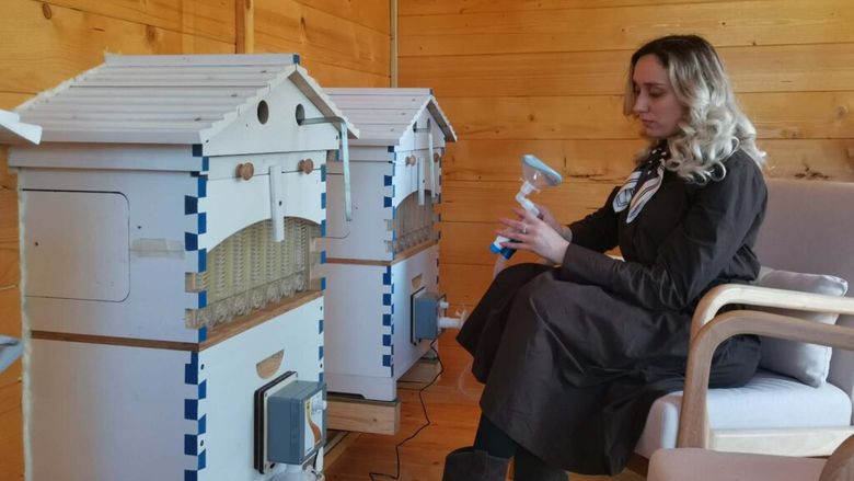 FOTO-VIDEO | Prima „casă a albinelor” pentru apiterapie din Banat a fost deschisă la Timișoara. Start pentru „Ruta Mierii”, un proiect transfrontalier unic în România