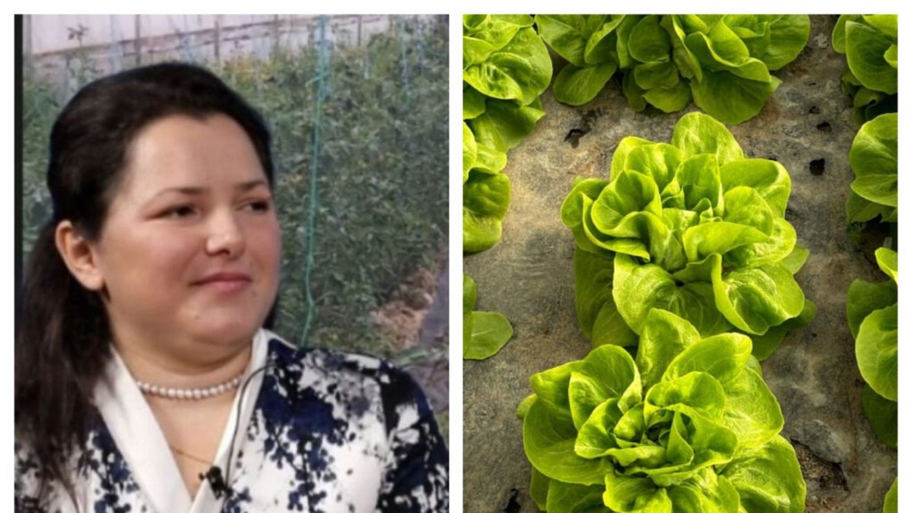 VIDEO | Luciana Stan, legumicultor: „Dacă vrem să ne comparăm cu Europa, trebuie să ajungem la nivelul lor de mecanizare și automatizare. Nu mai dorește nimeni astăzi să lucreze în agricultură, pentru că toată lumea fuge către birouri”