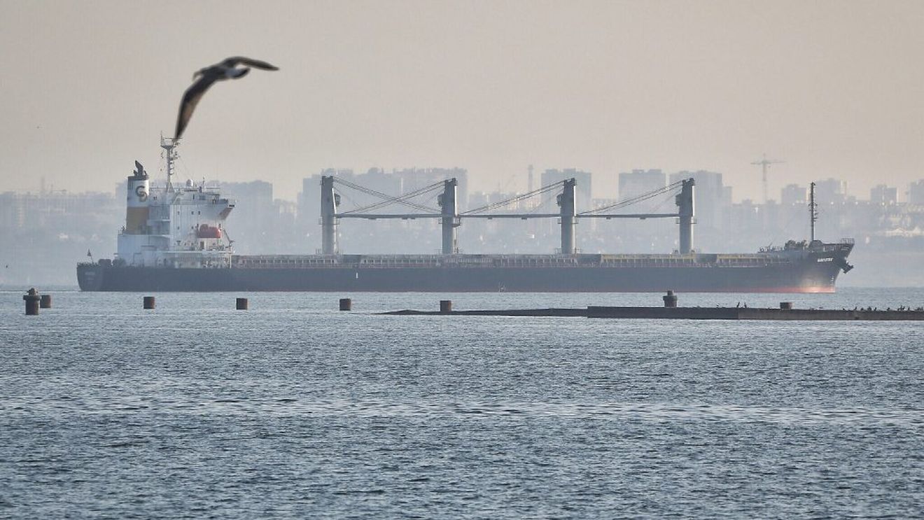 Paradoxul importurilor de mărfuri agricole din Ucraina în Uniunea Europeană: scădere drastică a cantității de semințe oleaginoase, creștere vertiginoasă a celei de grâu, în 2023 față de 2022, intervalul 1 iulie - 13 august; care ar fi explicația?