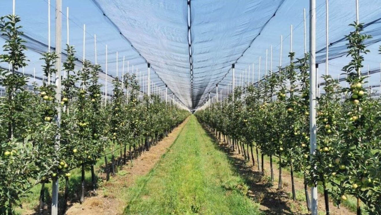 Fermierii români solicită autorităților evaluarea impactului închiderii punctelor de lansare a rachetelor antigrindină: „Este în joc stabilitatea producției și siguranța alimentară”