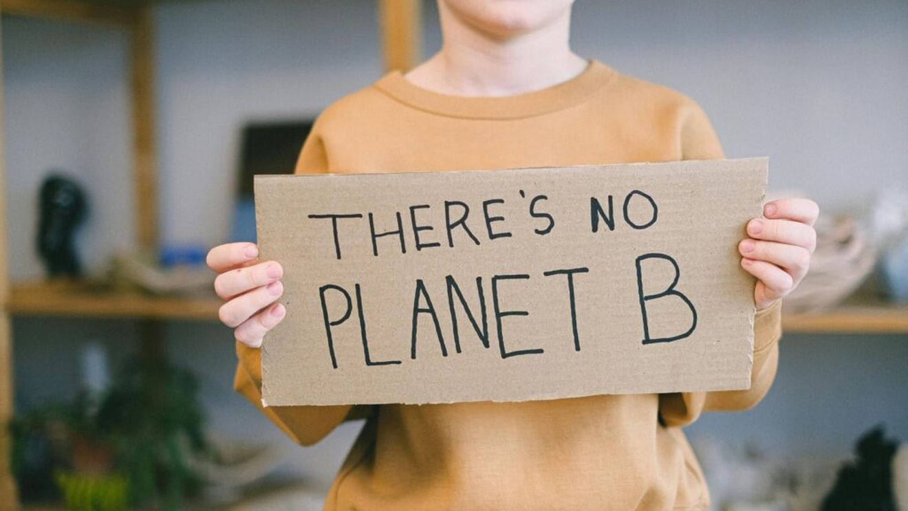 Biodiversitate, climă, sănătate: Crizele sunt interconectate, avertizează experţi mandataţi de ONU