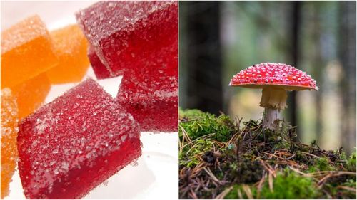 Jeleurile halucinogene care au declanșat alerte sanitare în Europa și SUA/ În octombrie, un lot de astfel de „dulciuri” a fost descoperit în Madrid