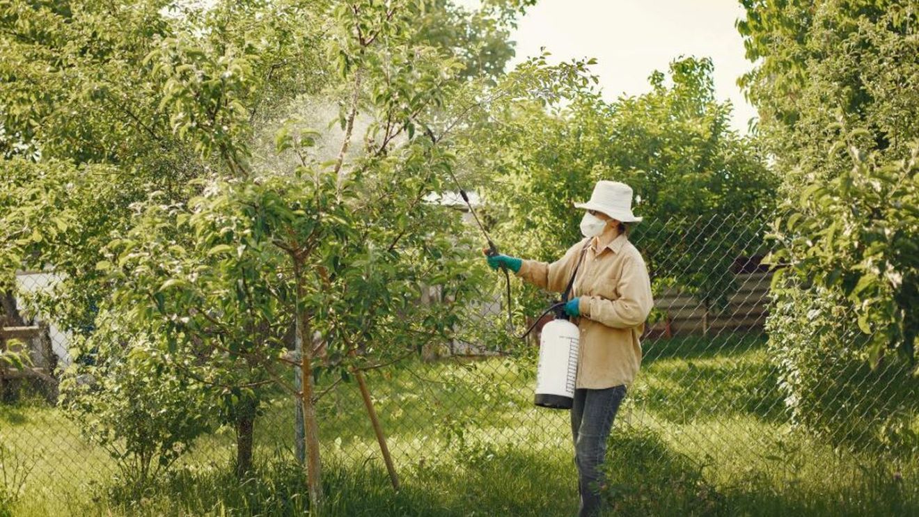 Studiu american arată că tot mai mulţi "poluanţi eterni" sunt prezenţi în pesticide în SUA