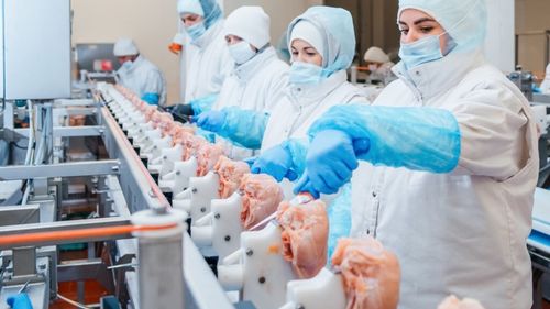 Bloomberg: Inteligența artificială ajută la automatizarea uneia dintre cele mai neplăcute meserii din lume: tranșarea cărnii în fabricile reci și umede / Roboții nu sunt foarte buni la dezosarea cărnii albe