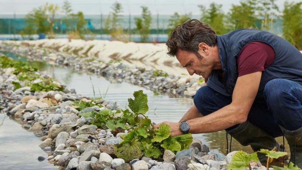 Prima cultură de plante de wasabi în Italia, urmând metoda tradițională japoneză. Autorii proiectului au reușit după 4 ani să creeze o varietate nouă, adaptată la clima continentală