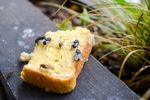 O muscă a aterizat pe mâncare. O mai poți mânca sau trebuie să o arunci? Ce spun experții în siguranță alimentară