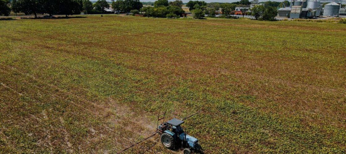 Agricultură și biodiversitate: România cere reguli europene adaptate realităților din ferme